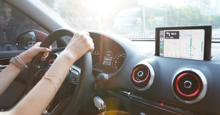 driving-with-pets-safety-guide